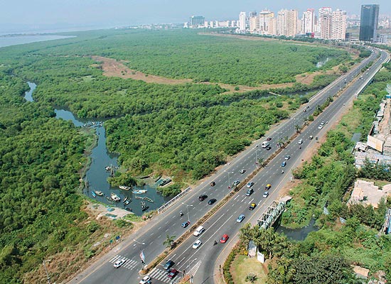 Palm-Beach-Road nerul west Palm-Beach-Road nerul west